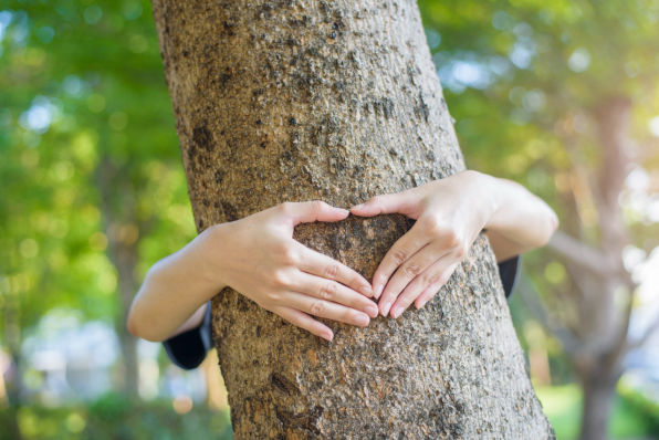 Centro de Residuos Piedra Larga tendría 20 años de vida útil