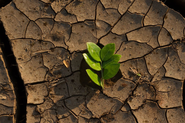 ¿Qué diferencia hay entre un vertedero, relleno sanitario y centro de manejo de residuos?